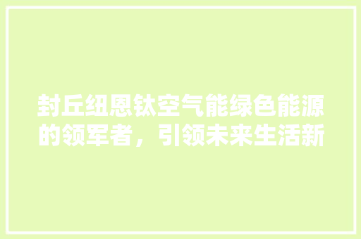 封丘纽恩钛空气能绿色能源的领军者，引领未来生活新风尚 家居维修