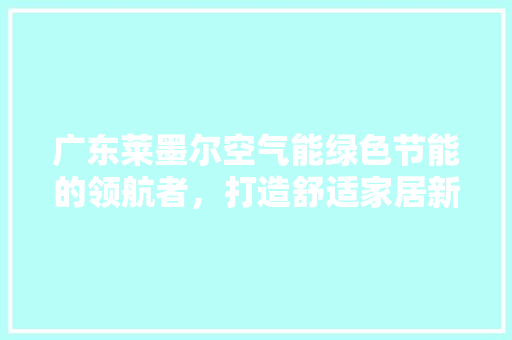 广东莱墨尔空气能绿色节能的领航者，打造舒适家居新体验 空调