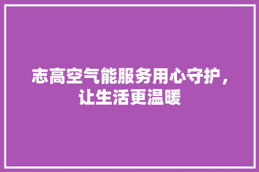 志高空气能服务用心守护，让生活更温暖 洗衣机