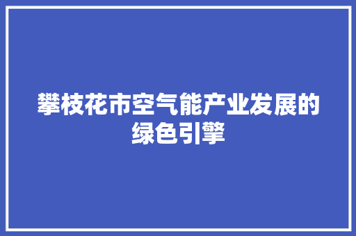 攀枝花市空气能产业发展的绿色引擎 家居维修
