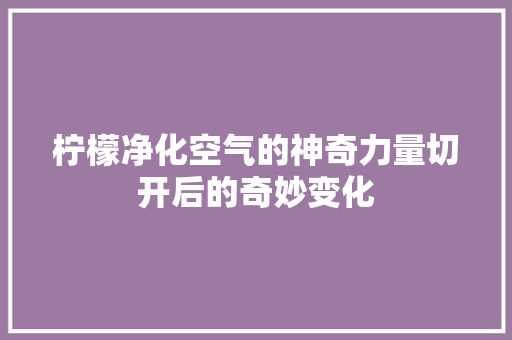柠檬净化空气的神奇力量切开后的奇妙变化 洗衣机