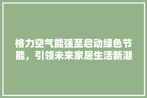 格力空气能强至启动绿色节能，引领未来家居生活新潮流 热水器