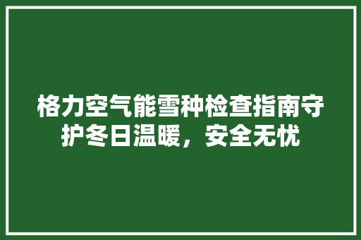 格力空气能雪种检查指南守护冬日温暖，安全无忧 贴膜