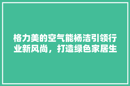 格力美的空气能杨洁引领行业新风尚，打造绿色家居生活 旧房改造