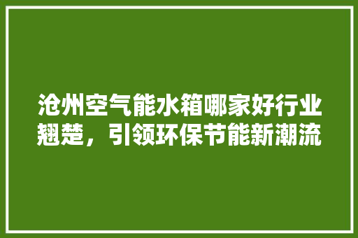 沧州空气能水箱哪家好行业翘楚，引领环保节能新潮流 龙头管件