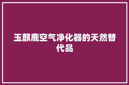 玉麒鹿空气净化器的天然替代品 洗衣机