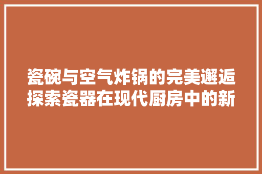 瓷碗与空气炸锅的完美邂逅探索瓷器在现代厨房中的新应用 洗衣机