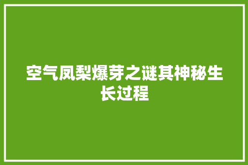 空气凤梨爆芽之谜其神秘生长过程 冰箱