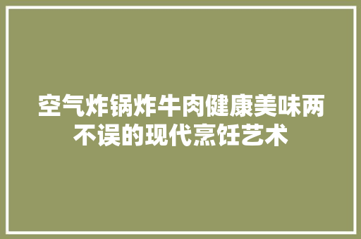 空气炸锅炸牛肉健康美味两不误的现代烹饪艺术 空调