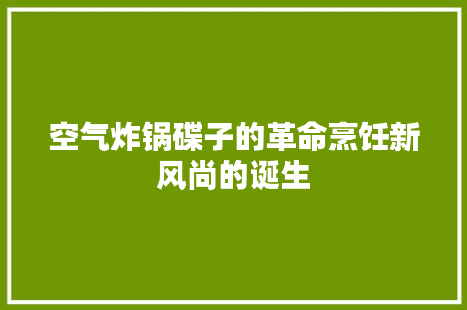 空气炸锅碟子的革命烹饪新风尚的诞生 热水器