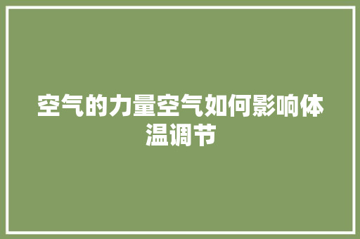 空气的力量空气如何影响体温调节 翻新改色