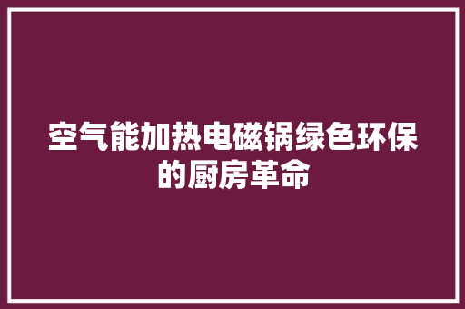 空气能加热电磁锅绿色环保的厨房革命 冰箱