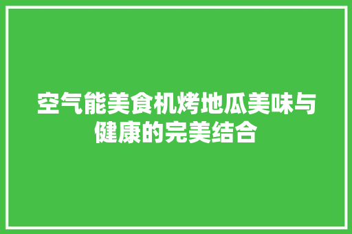 空气能美食机烤地瓜美味与健康的完美结合 局部翻新