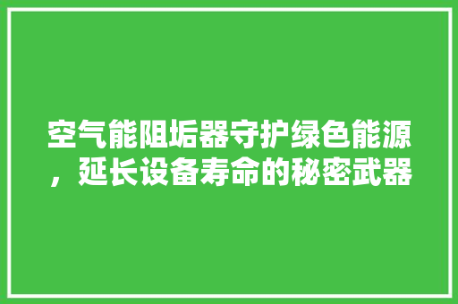 空气能阻垢器守护绿色能源，延长设备寿命的秘密武器 灯具安装