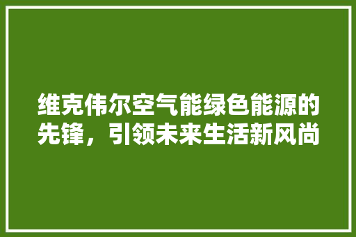 维克伟尔空气能绿色能源的先锋，引领未来生活新风尚 热水器