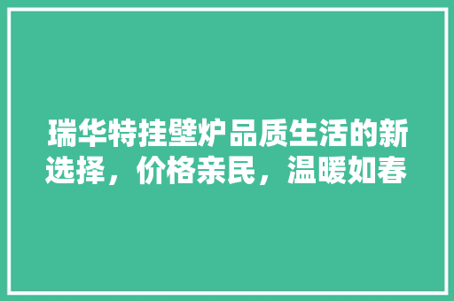 瑞华特挂壁炉品质生活的新选择，价格亲民，温暖如春 灯具安装