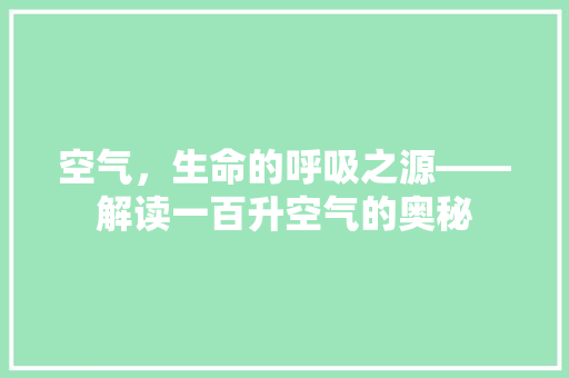 空气，生命的呼吸之源——解读一百升空气的奥秘 局部翻新
