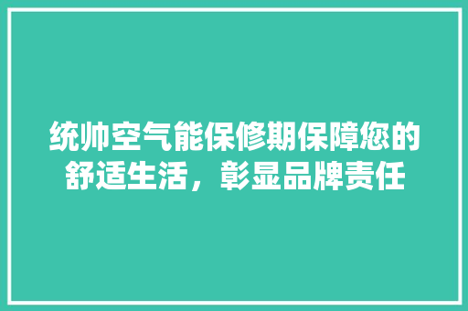 统帅空气能保修期保障您的舒适生活，彰显品牌责任 贴膜