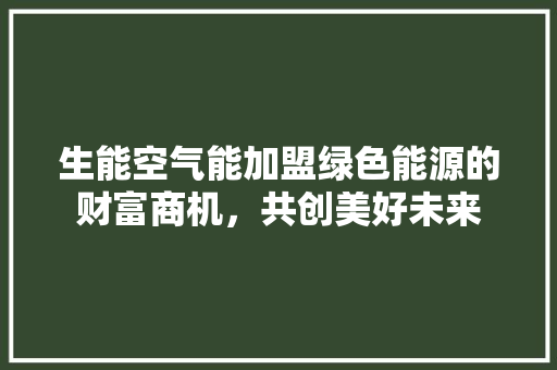 生能空气能加盟绿色能源的财富商机，共创美好未来 水电维修