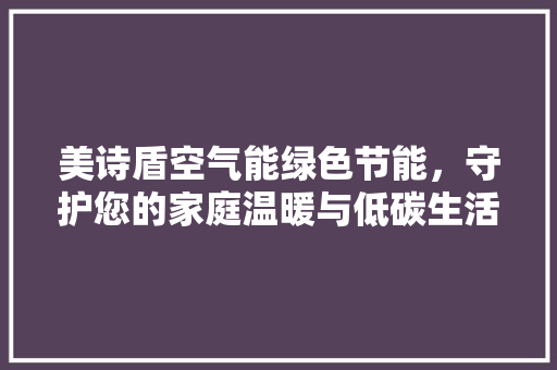 美诗盾空气能绿色节能，守护您的家庭温暖与低碳生活 冰箱