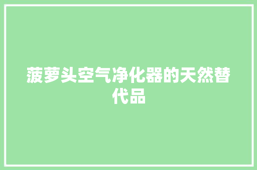 菠萝头空气净化器的天然替代品 家具修理