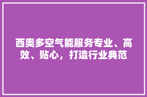 西奥多空气能服务专业、高效、贴心，打造行业典范 水电维修