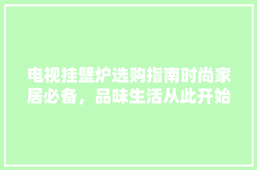 电视挂壁炉选购指南时尚家居必备，品味生活从此开始 空调