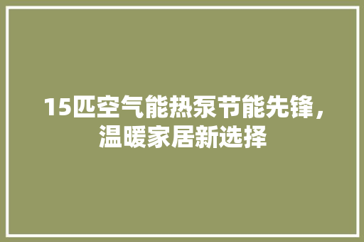15匹空气能热泵节能先锋，温暖家居新选择 翻新改色