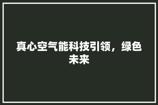 真心空气能科技引领，绿色未来 空调