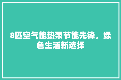 8匹空气能热泵节能先锋，绿色生活新选择 清洁保养