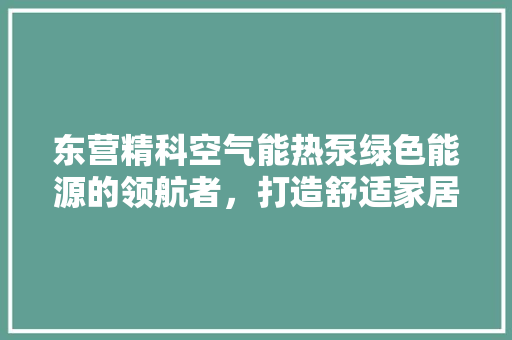 东营精科空气能热泵绿色能源的领航者，打造舒适家居新风尚 水电维修