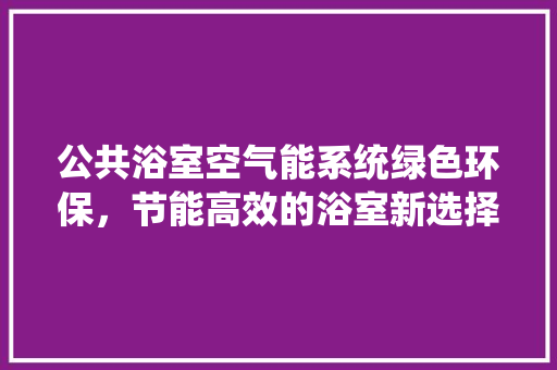 公共浴室空气能系统绿色环保，节能高效的浴室新选择 灯具安装