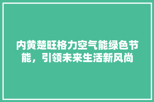 内黄楚旺格力空气能绿色节能，引领未来生活新风尚 翻新改色