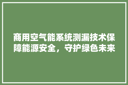 商用空气能系统测漏技术保障能源安全，守护绿色未来 龙头管件