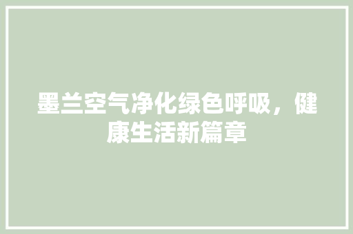 墨兰空气净化绿色呼吸,健康生活新篇章 家具修理 墨兰空气净化绿色呼吸,健康生活新篇章 家具修理