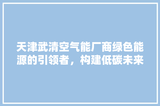 天津武清空气能厂商绿色能源的引领者，构建低碳未来 空调