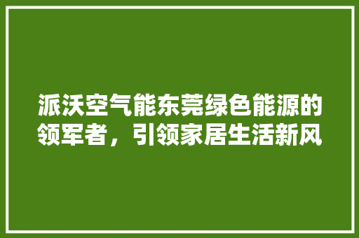 派沃空气能东莞绿色能源的领军者，引领家居生活新风尚 洁具维修