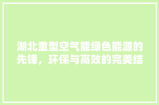 湖北重型空气能绿色能源的先锋，环保与高效的完美结合 热水器