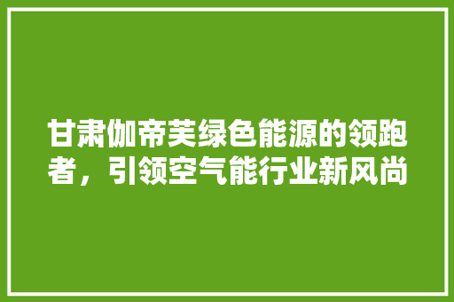 甘肃伽帝芙绿色能源的领跑者，引领空气能行业新风尚 贴膜