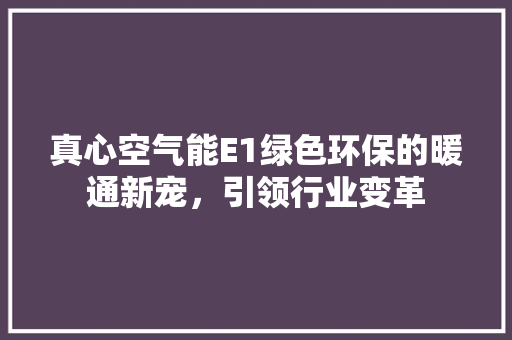 真心空气能E1绿色环保的暖通新宠，引领行业变革 水电维修