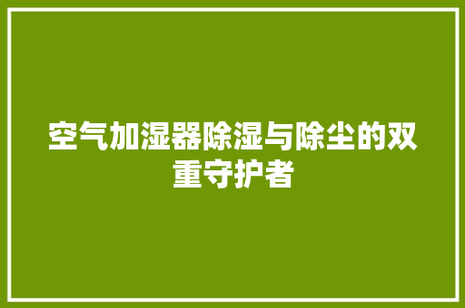 空气加湿器除湿与除尘的双重守护者 家居维修