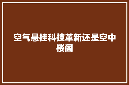 空气悬挂科技革新还是空中楼阁 洗衣机
