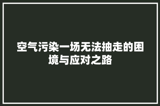空气污染一场无法抽走的困境与应对之路 洁具维修