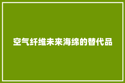 空气纤维未来海绵的替代品 热水器