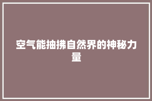 空气能抽拂自然界的神秘力量 洗衣机