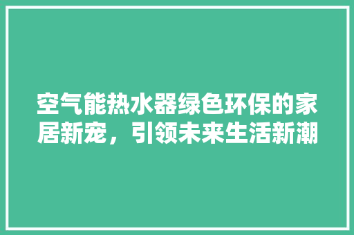 空气能热水器绿色环保的家居新宠，引领未来生活新潮流 洗衣机