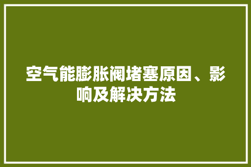 空气能膨胀阀堵塞原因、影响及解决方法 家电维护
