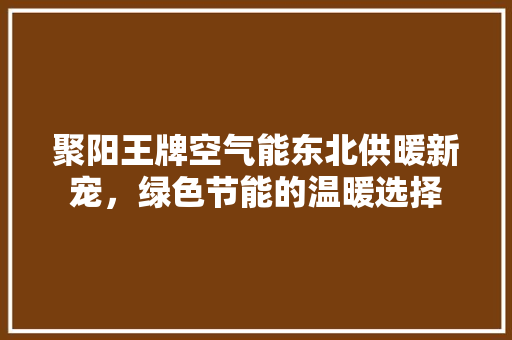 聚阳王牌空气能东北供暖新宠，绿色节能的温暖选择 洁具维修
