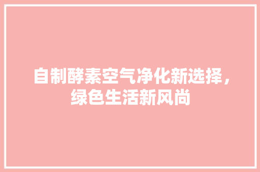 自制酵素空气净化新选择，绿色生活新风尚 装修设计
