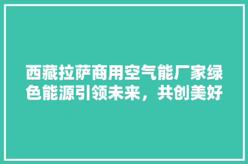 西藏拉萨商用空气能厂家绿色能源引领未来，共创美好生态家园 水电维修